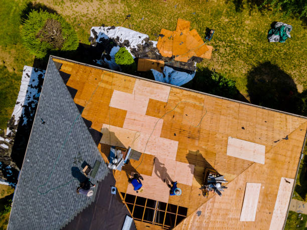 Best Roof Repair Specialists  in Mayville, NY