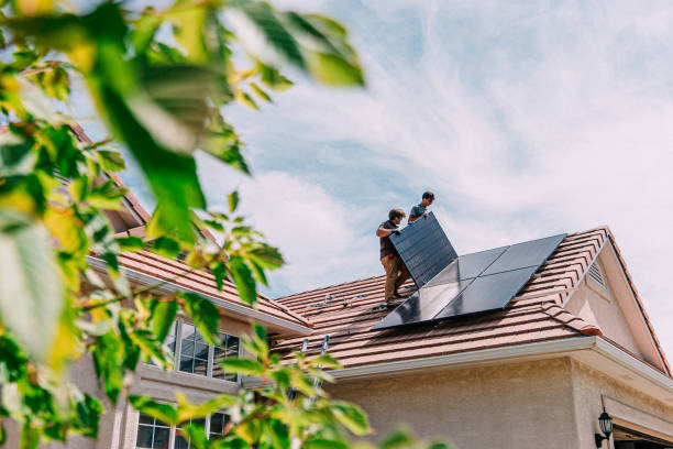Best Roof Gutter Cleaning  in Mayville, NY