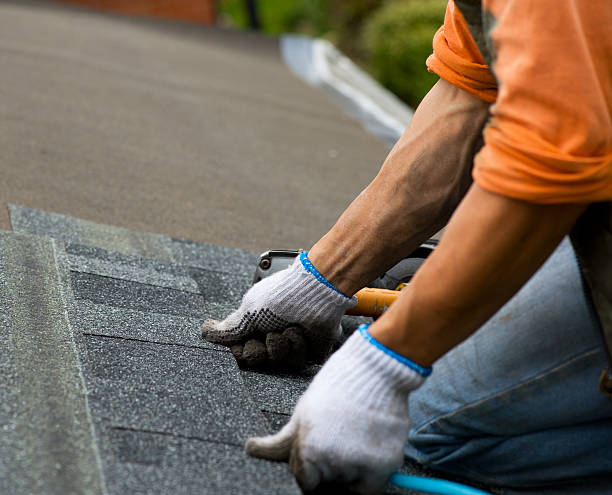 Best Commercial Roofing Services  in Mayville, NY